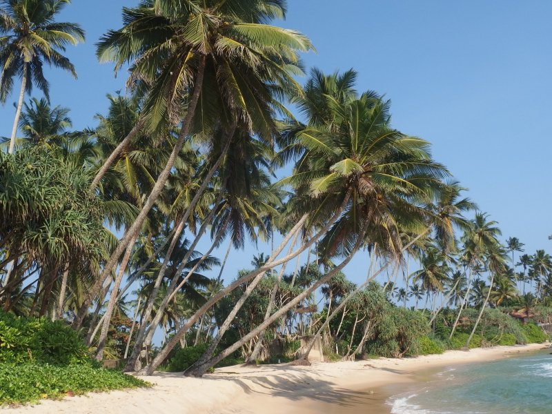 Plages sauvages au Sri Lanka